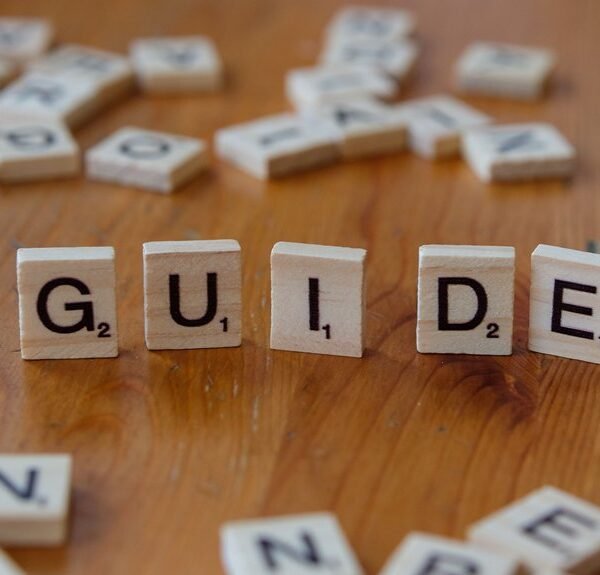 guide to ip address utility
